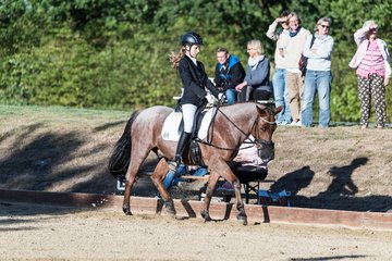 Bild 95 - Pony Akademie Turnier